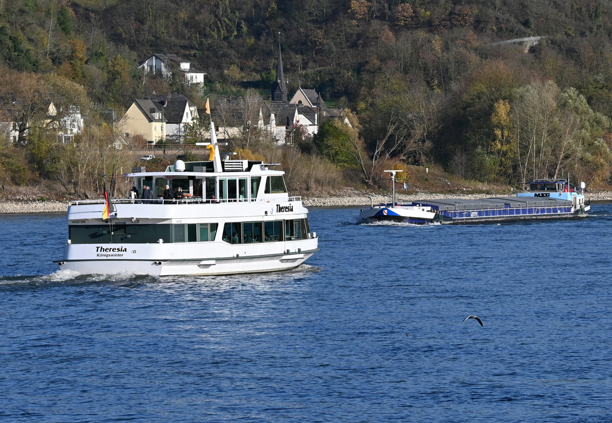 FGS THERESIA und GMS VOYAGE, Begegnung auf dem Rhein bei Erpel - 09.11.2021