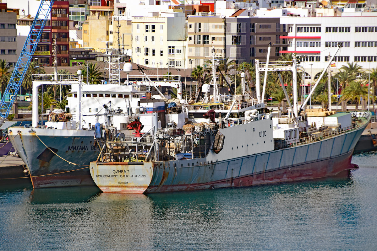 Fin Whale (IMO 8314299), Fischereikennzeichen S-0001, am 5.2.2017 im Hafen von Las Palmas, Gran Canaria