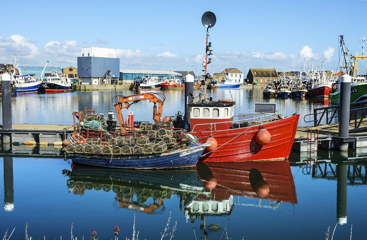 Fischerboote im Hafen von Howth (Irland). Aufnahme: 11. Mai 2018.