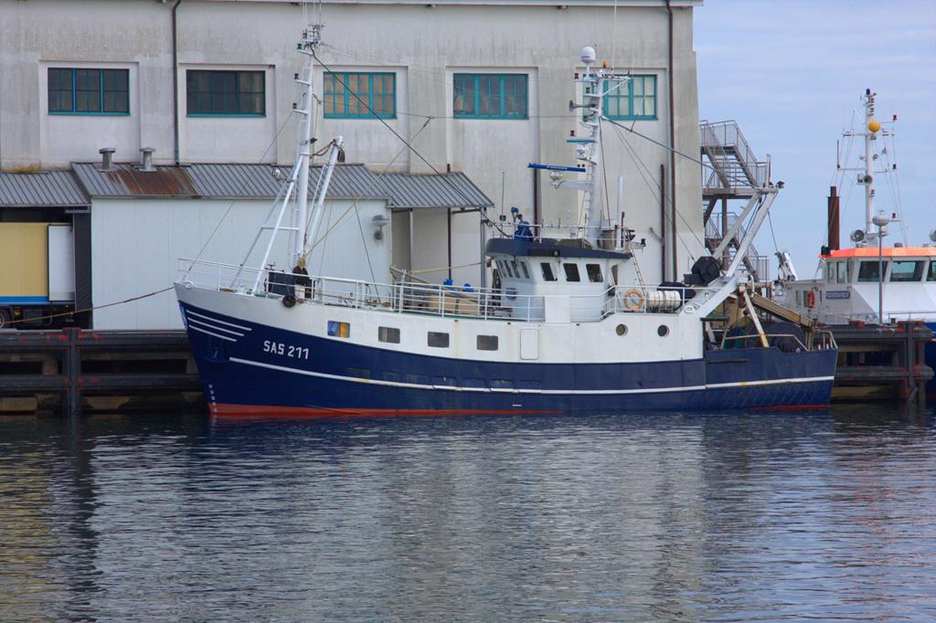 Fischereifahrzeug SAS 211 am 27.2.2017 im Hafen Sassnitz.