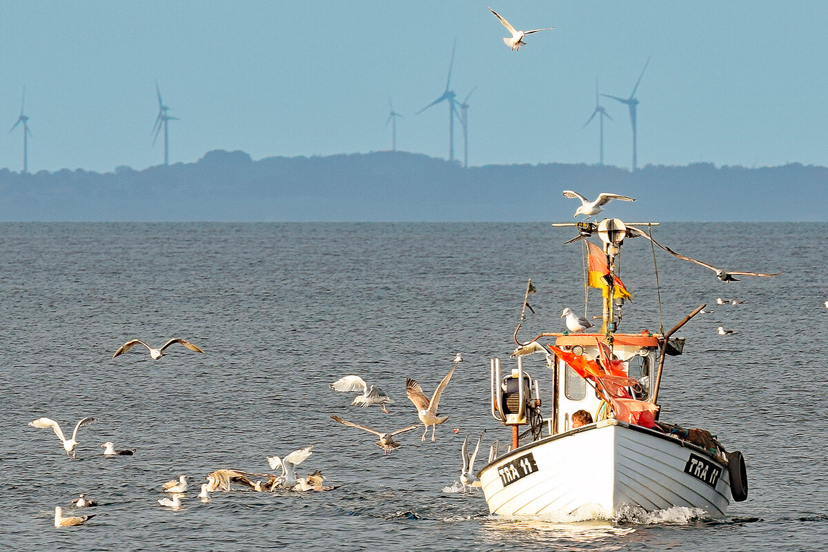 Fischereifahrzeug TRA 11 JAN am 11.10.2022 in der Ostsee vor Lübeck-Travemünde