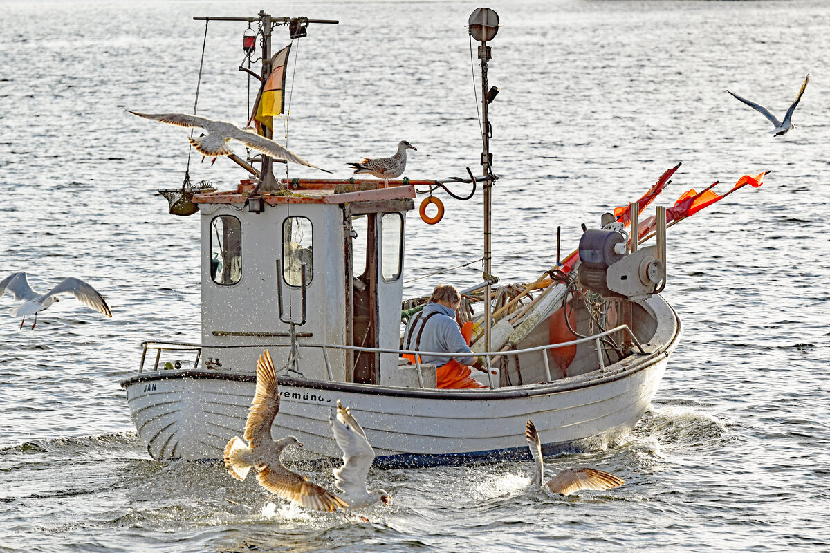 Fischereifahrzeug TRA 11 JAN am 11.10.2022 in Lübeck-Travemünde einlaufend