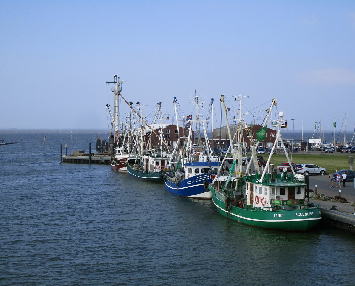 Fischereifahrzeuge lagen am 12.06.2020 im Hafen von  ACCUMERSIEL / DORNUMERSIEL  , Niedersächsische Nordseeküste.