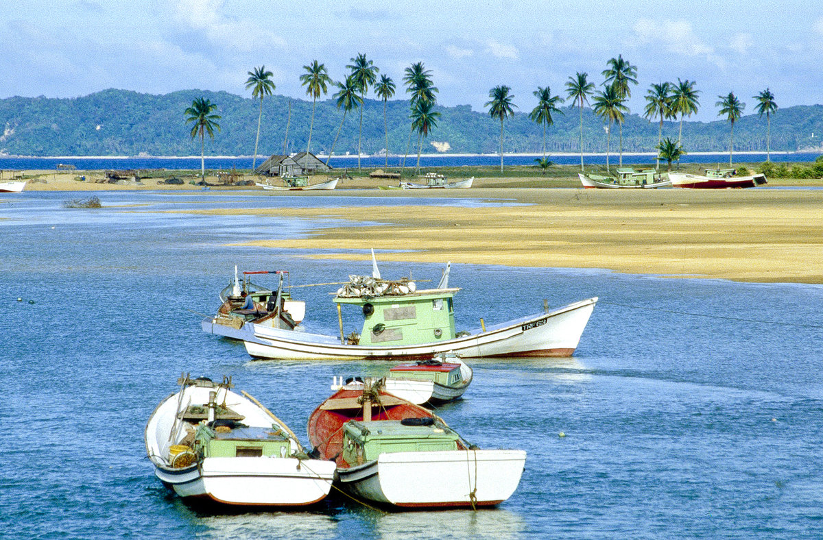 Fischereifahrzeuge im natürlichen Hafen von Kuala Terengganu. Bild vom Dia. Aufnahme: Februar 1989.