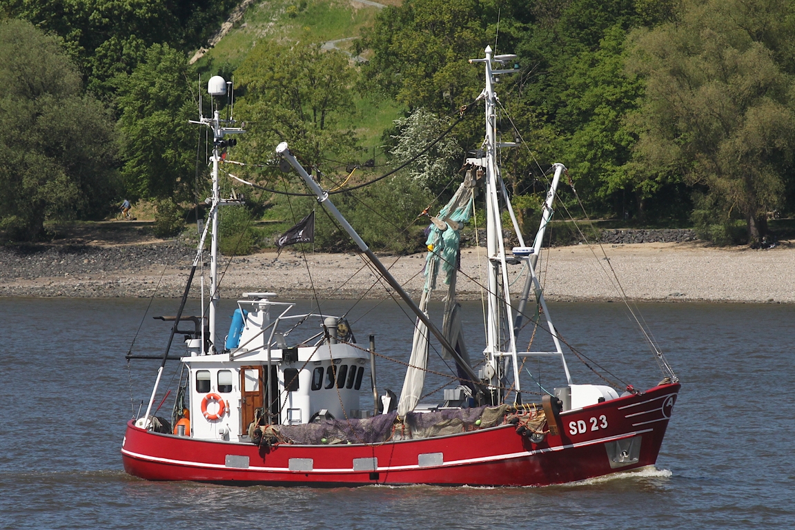 Fischereifahzeug („Fischkutter“) SD 23; Datum: 08.05.2026; Aufnahmeort: Elbe/Hafen Hamburg, Deutschland.