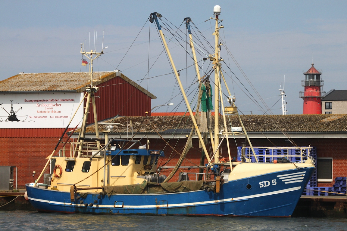 Fischereifahzeug („Fischkutter“) SD 5 / HORNSRIFF; Datum: 25.07.2026; Aufnahmeort: Nordsee/Hafen B�sum, Deutschland.