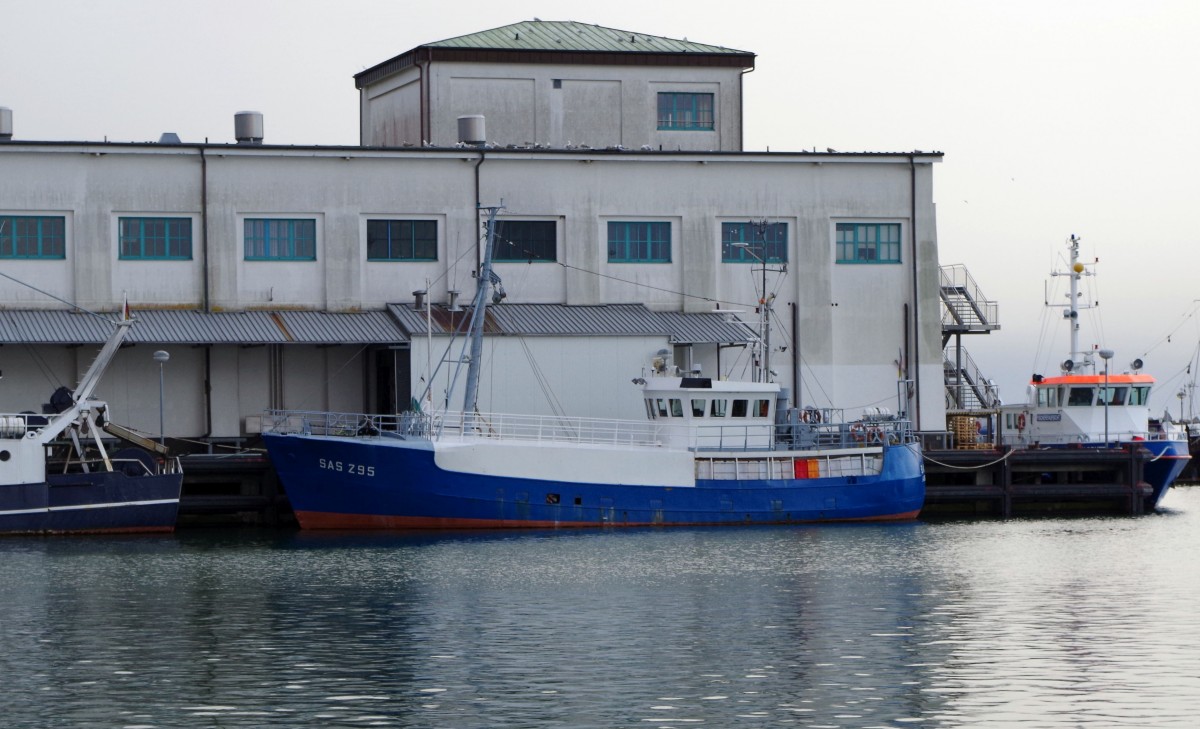 Fischerschiff SAS 295 am 02.04.15 im Stadthafen Sassnitz.