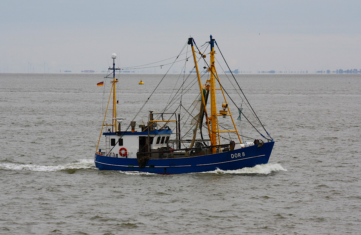 Fischkutter  DOR 8 (MMSI-Nr.211351000) L.17,24m B.5,30m Flagge Deutschland am 20.09.2021 in Cuxhaven.