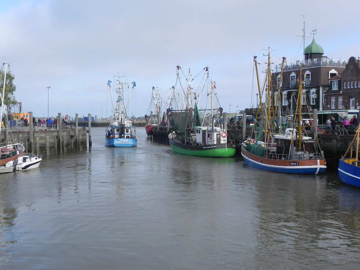 Fischkutter im Hafen von Neuharlingersiel am 28.10.2020.