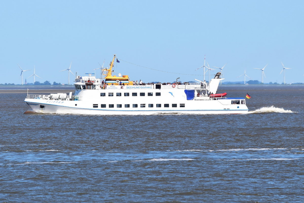 FLIPPER , Fahrgastschiff , IMO 7641190 , Baujahr 1977 , 46.61 x 8 m , Cuxhaven , 01.06.2020