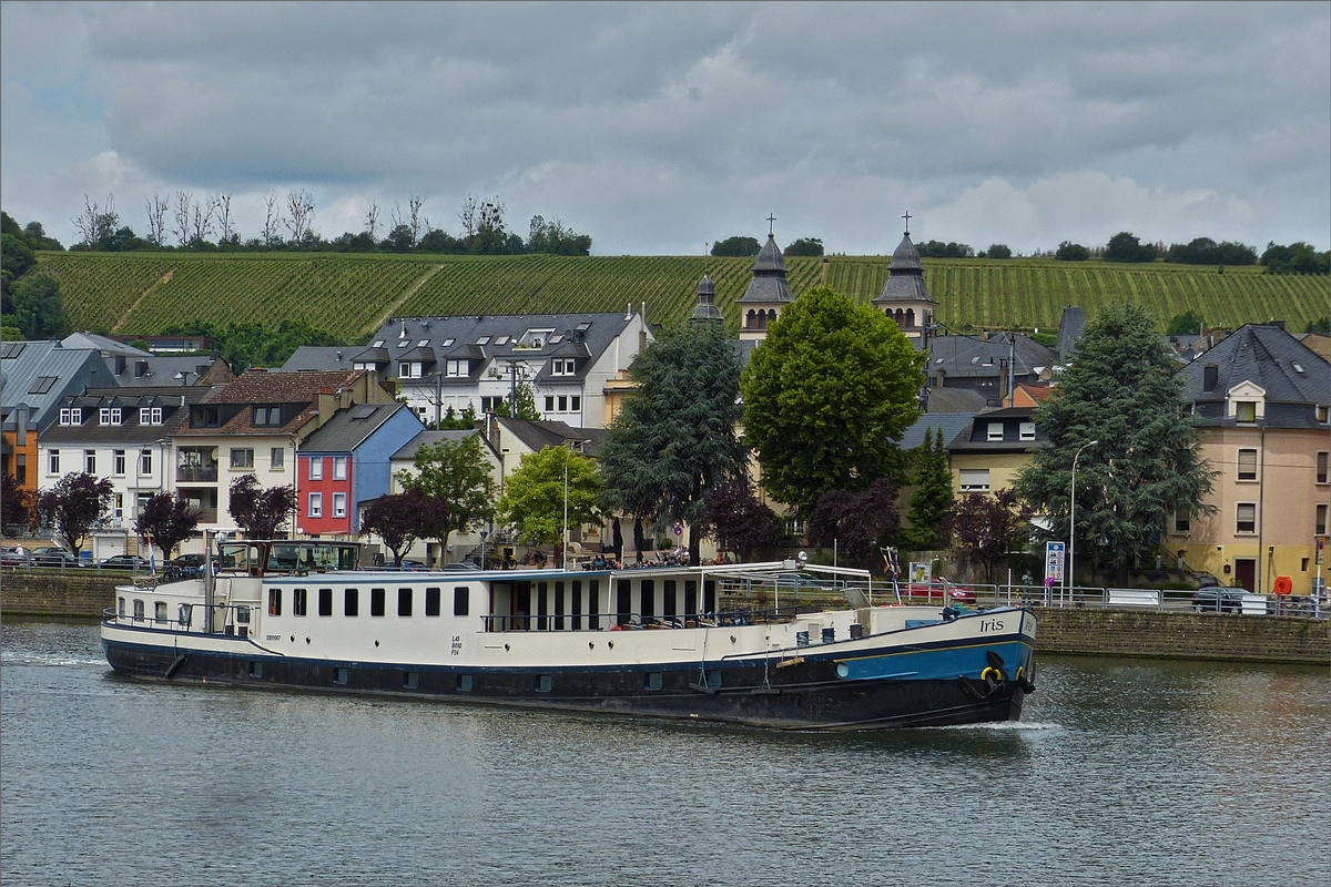 Fluss Kreuzfahrtschiff „IRIS“, zu Tal fahrend auf der Mosel an Wasserbillig vorbei. Schiffsdaten: ENI 03051067; als GMS 1951 gebaut von der Jansen Werft in Druten; L 49,97 m; B 6,60 m; Eigner : Iris B.V. aus Zwijndrecht; kann 26 Passagier an Bord nehmen; Ex Namen: Patria/Grefo II.  10.06.2019 (Hans) 