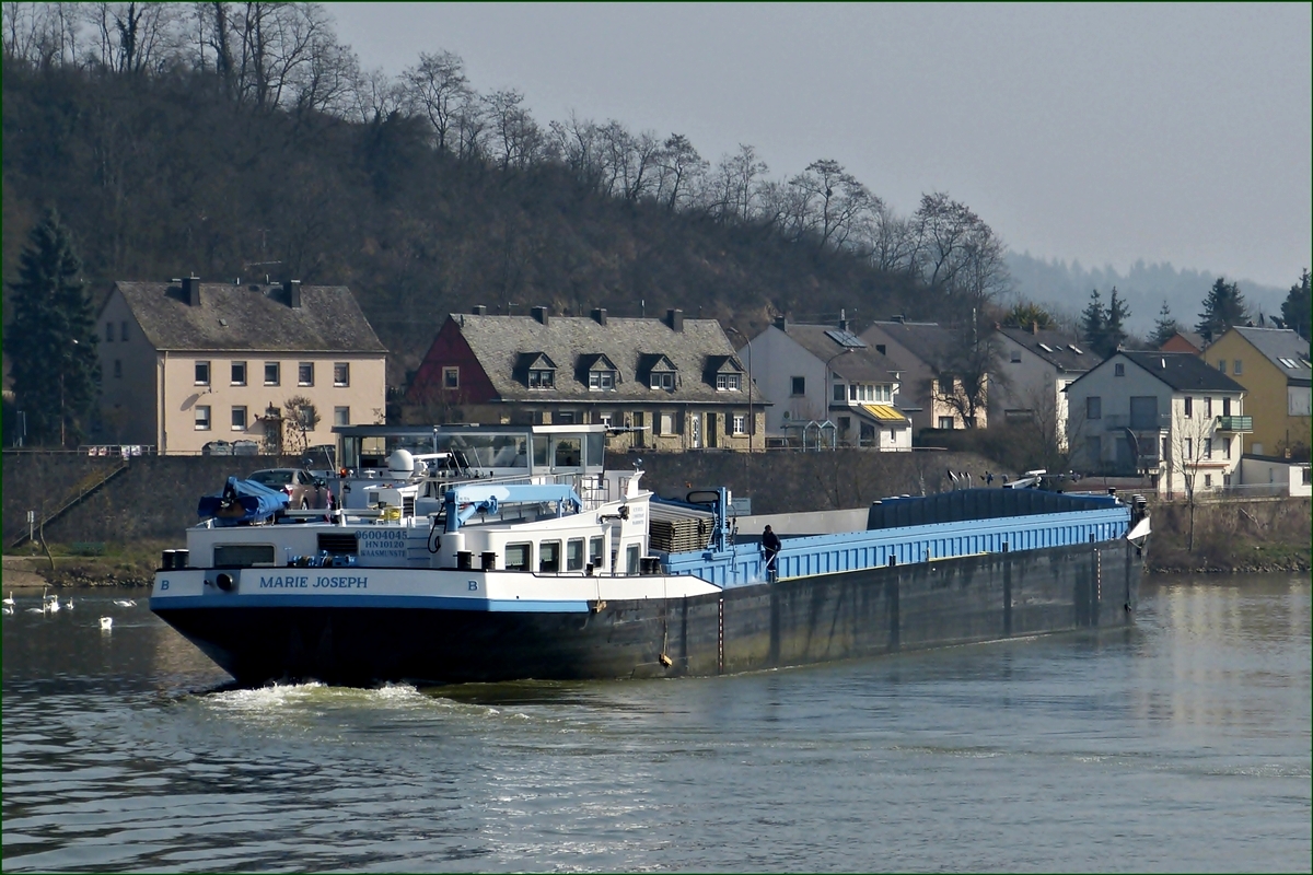 Frachter MARIE JOSEPH ENI Nr  06004045, L 110 m, B 11,45 m. Tonnage, 2949 t, Tiefgang, 3,40 m, Bj 2004. Bauwerft, Veka Shipbuilding B.V., Werkendam.   Aufgenommen am  07.03.2014 an der Mosel nahe Wasserbillig