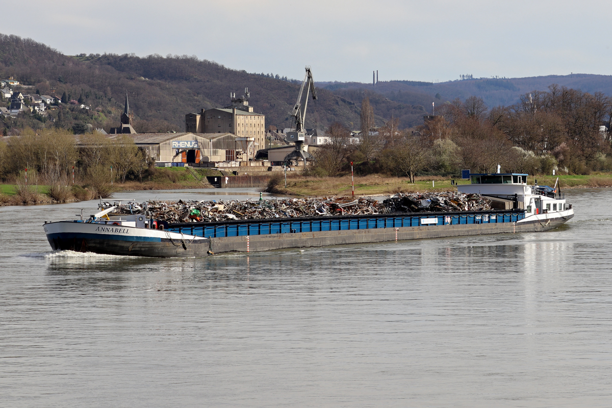 Frachtschiff  ANNABELL  Rhein abwärts bei Stolzenfels/Koblenz 14.3.2024