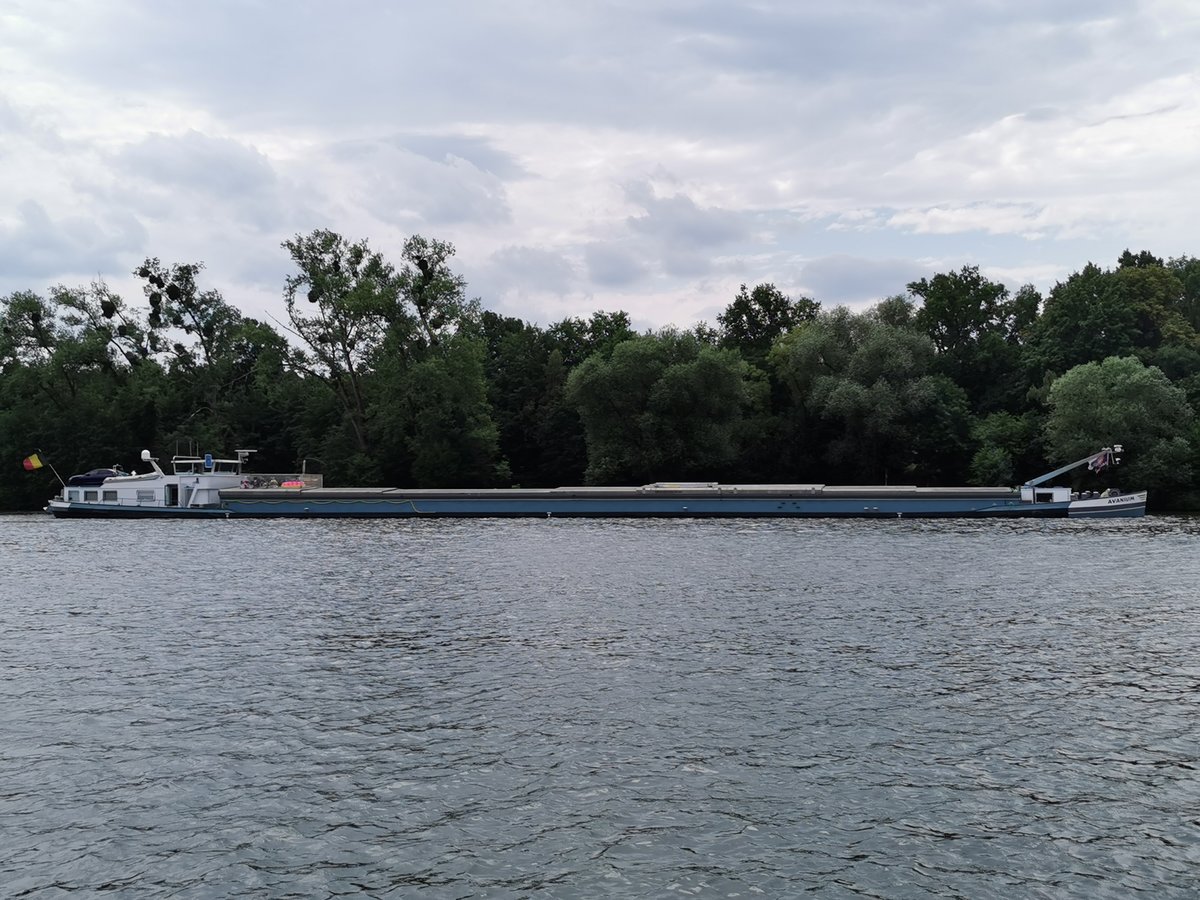 Frachtschiff AVANIUM am 27.06.2020 bei Hanau.