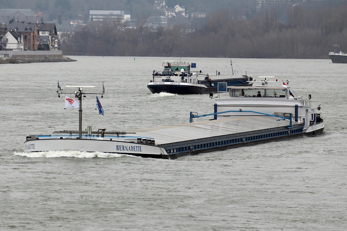 Frachtschiff  BERNADETTE  Rhein aufwärts bei Koblenz 12.3.2016