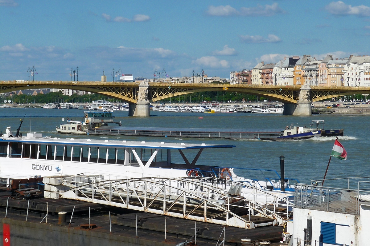 Frachtschiff  Dyna  vor der Margit-Brücke über die Donau in Budapest, 7.8.16 