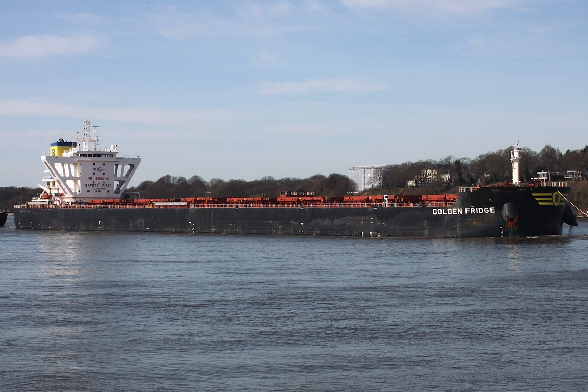 Frachtschiff GOLDEN FRIDGE (IMO 9955595); Datum: 02.03.2026; Aufnahmeort: Elbe/Hafen Hamburg, Deutschland.