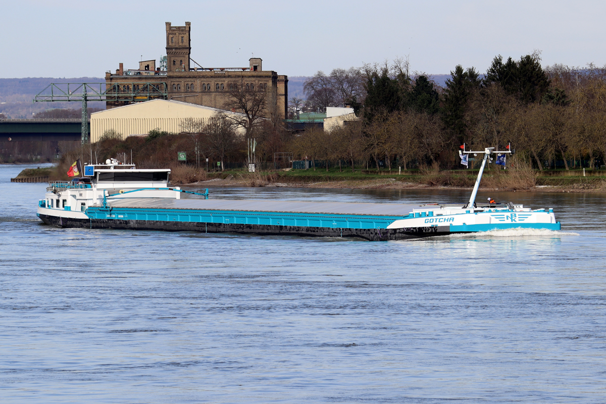 Frachtschiff  GOTCHA  Rhein aufwärts bei Stolzenfels/Koblenz 14.3.2024