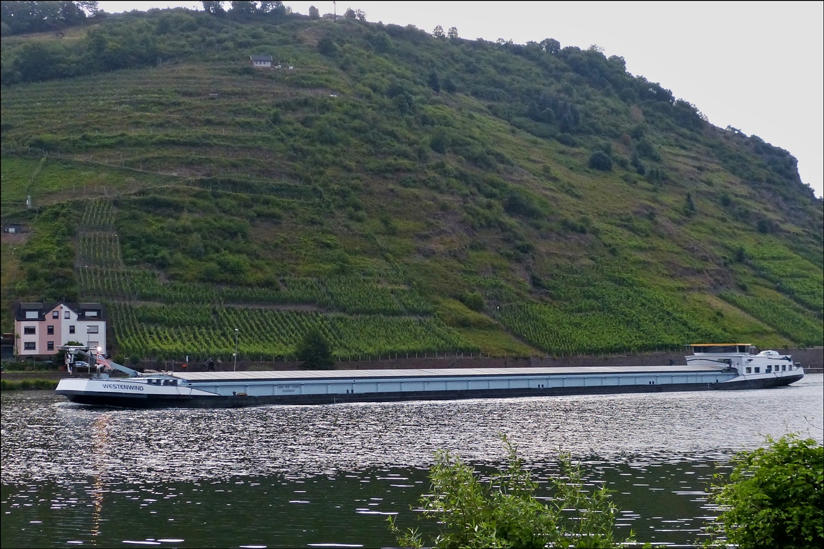 Frachtschiff  WESTENWIND ; ENI 02329249 ; L 105 m ; B 10 m ; T 2301 ;  Maschinenleistung 1300 Ps ; Bj 2007 ; früherer Name : Sento ;  Flagge : NL .  auf der Mosel nahe Kattenes 21.06.2014