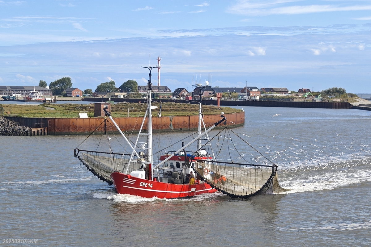 Fuischkutter GRE 14 am Schutzhafen Borkum. 10.09.2025