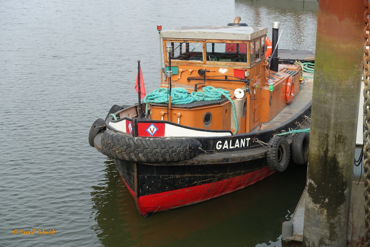 GALANT (H4048)  am 27.2.2023, Hamburg, Liegeplatz Travehafen, /
Schlepper / Lüa 14,87 m, B 3,91 m, Tg 1,25 m / 1927 bei Oelkers, Hamburg-Neuhof, Verbunddampfmaschine, 92 PS, Heizfläche 25 m², für L&R / 1960 Umbau bei Jastram auf Diesel, 120 PS / jetzt 140 PS / 1971 an Helmut Kau / 1999 an Heinrich K. Vogler /