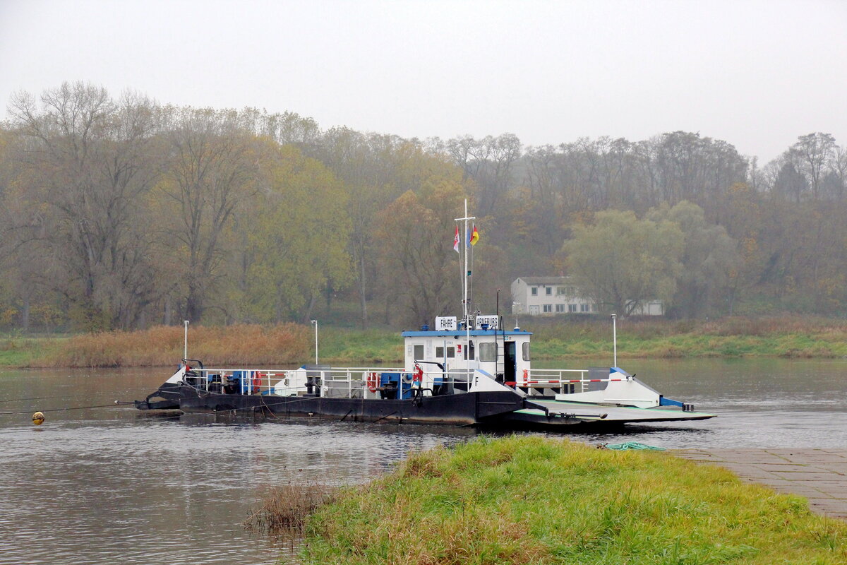 GIERSEILFÄHRE  ARNEBURG  (34,50 x 7,80m) am 16.11.2021 am östlichen  ELBE -Ufer. 