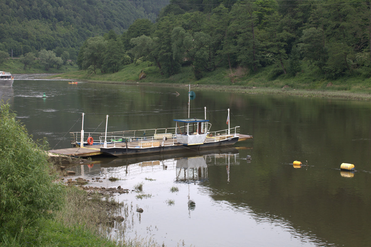 Gierseilfähre (Elbe) Nähe Decin.11.06.2016 10:45 Uhr