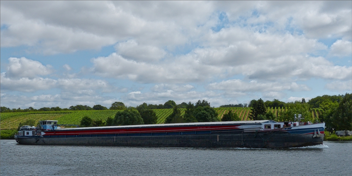 GMS “Ambulant”, ENI 02315575 zu Berg auf der Mosel nahe Remich. L 80 m; B 8,20 m; T 1110 t. 14.07.2019