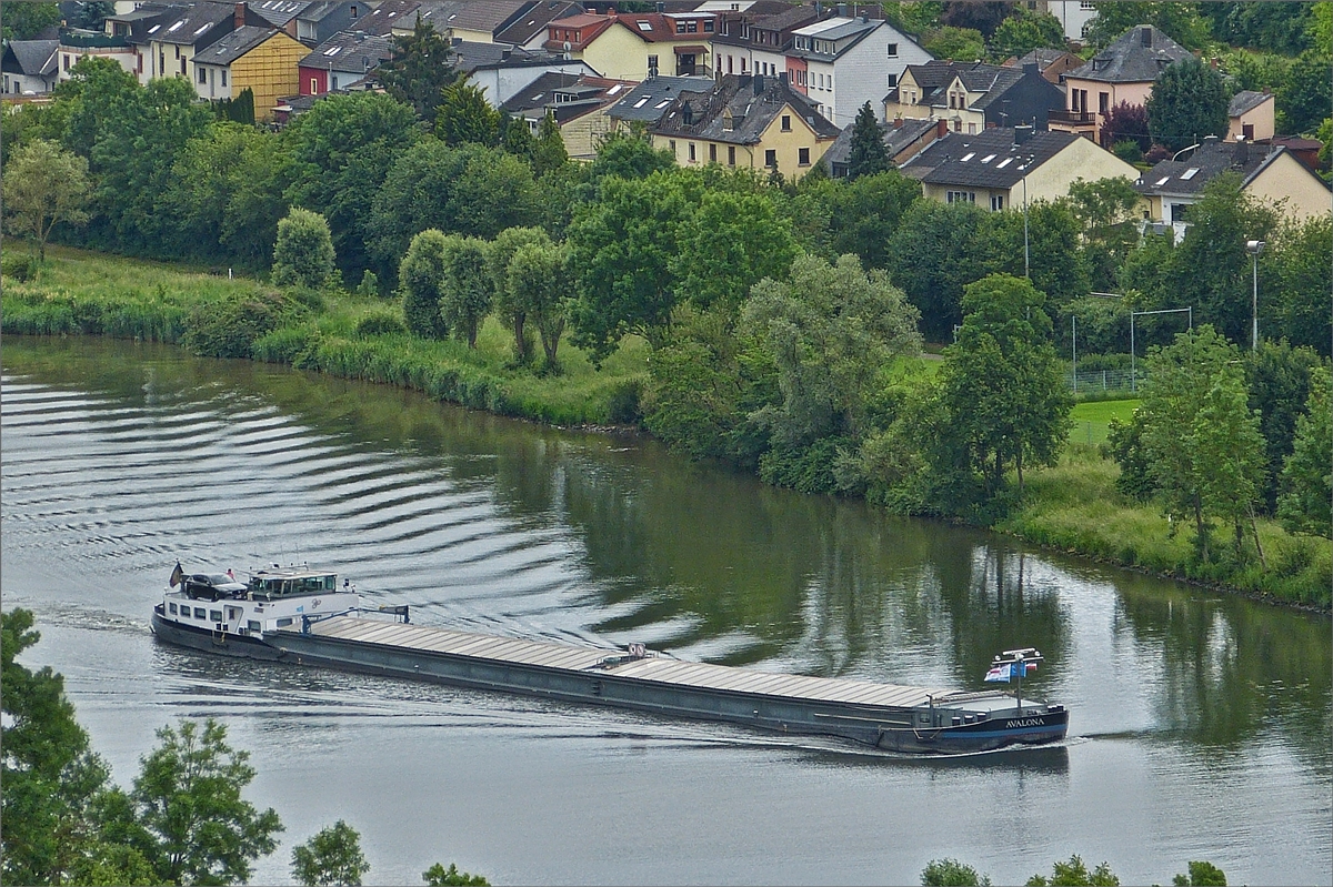 GMS „AVALONA“, ENI 06000184; Bj 1966; L 80m; B 8,22 m; Ton 1213 t; zu Berg auf der Mosel bei Wasserliesch. 10.06.2019 (Hans)