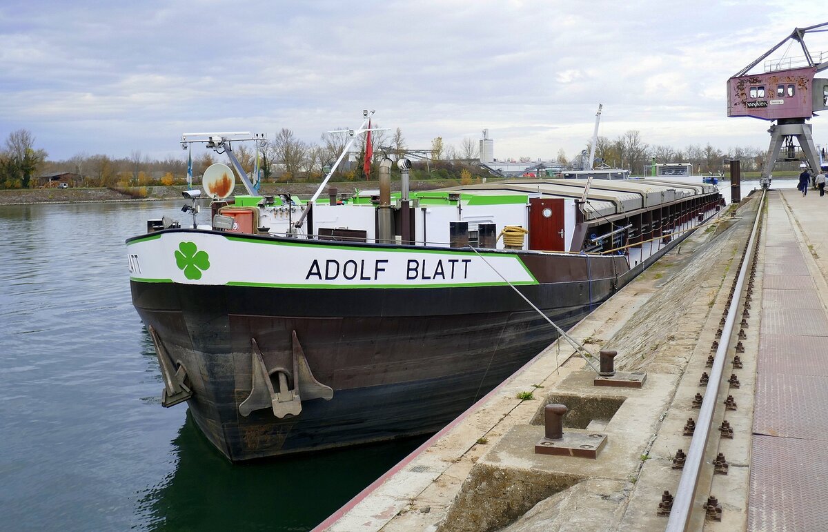 GMS ADOLF BLATT ENI 04402560, ankert im Rheinhafen von Breisach, Nov.2025
