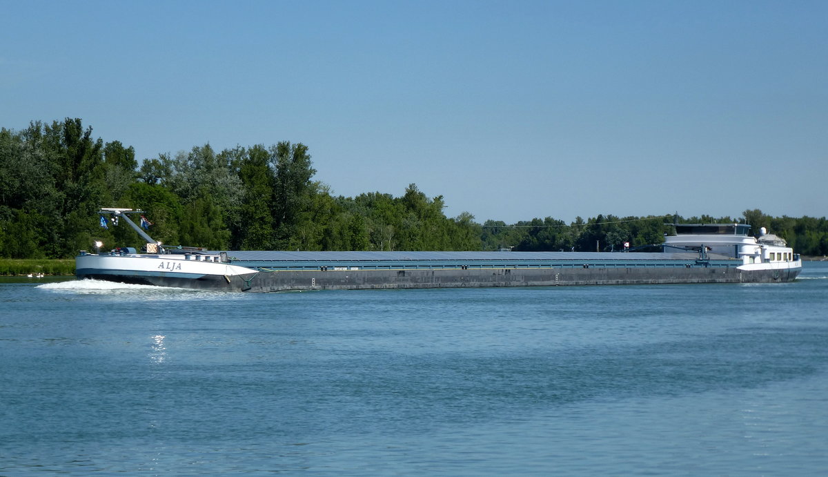 GMS  ALJA , auf dem Rhein aufwrts vor Breisach, L=90m, 1482t, 2x515PS, Baujahr 1956,  Niederland, Juni 2017