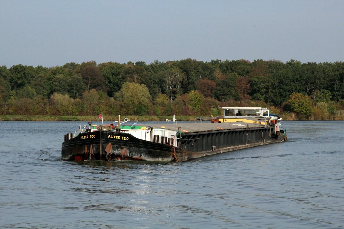 GMS Alter Ego (04600100 , 82 x 8,20m) am 23.10.2019 im Mittellandkanal Höhe Edesbüttel / Abzweig Elbe-Seitenkanal auf Talfahrt.