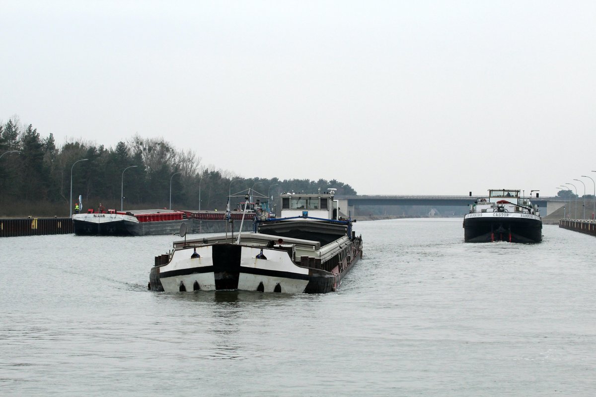 GMS Altmark (04031260 , 80 x 8,2m) am 11.02.2017 im Mittellandkanal kurz v.d. Einfahrt in die Nordkammer der Doppelschleuse Hohenwarthe. GMS Castor (04605000) war aus der Kammer gekommen. Der Poln. Schubverband mit SB Navigar-2 (08351175) lief in die Südkammer ein. 