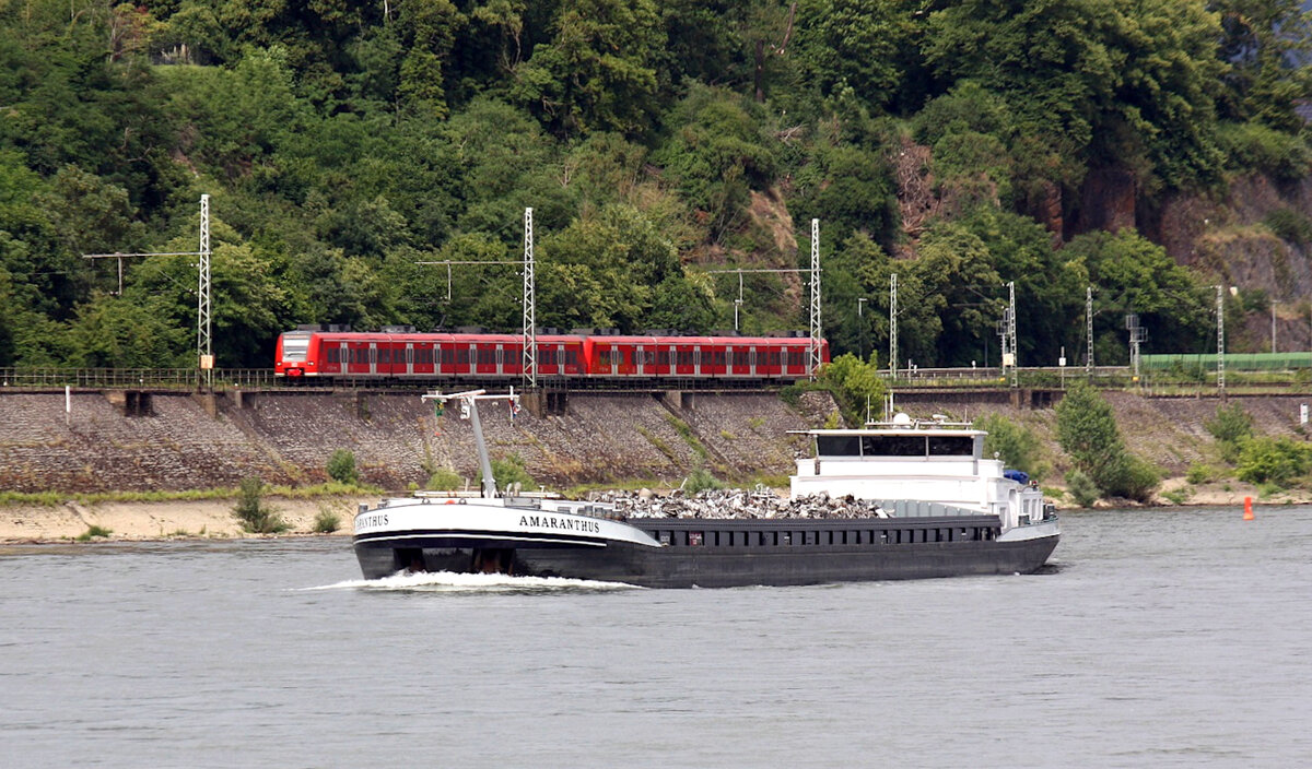 GMS AMARANTHUS (ENI:02331716) L.110 m B.11,45 m T 3238 TEU 208 Flagge Niederlande auf dem Rhein zu Tal am 10.06.2022 in Andernach.