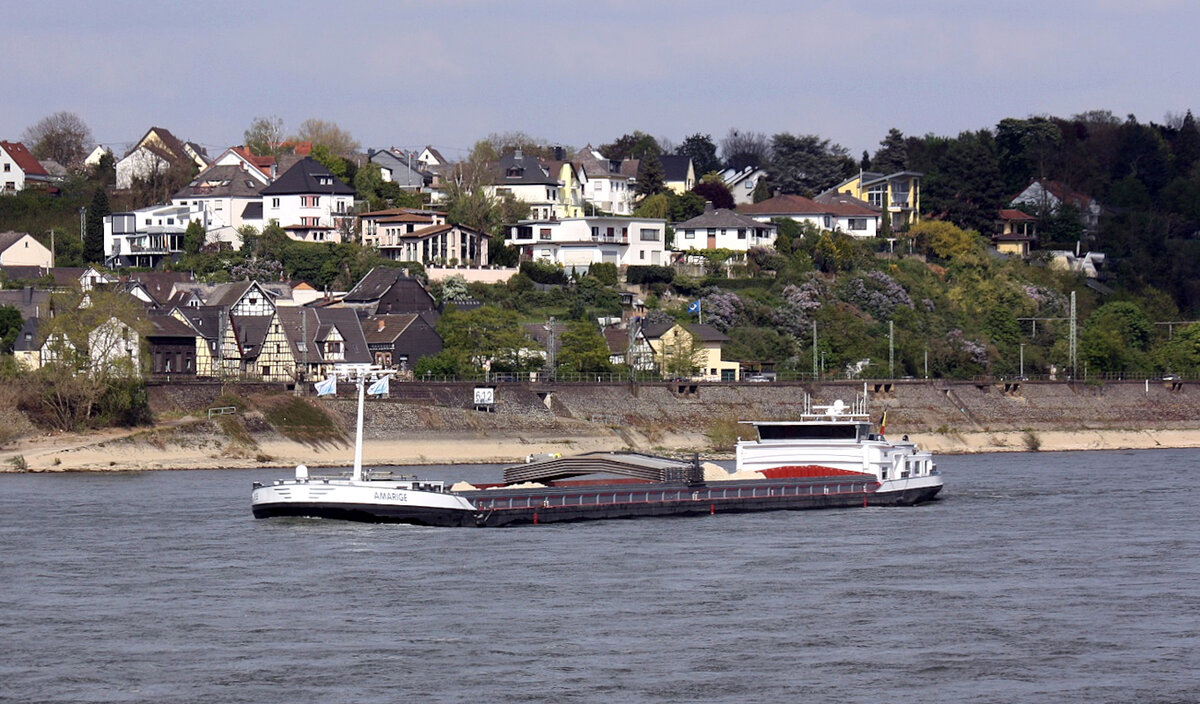 GMS AMARIGE (ENI:06003376) L.110 m B.9,50 m T 2403 Flagge Belgien am 22.04.2022 auf dem Rhein in Andernach zu Tal.