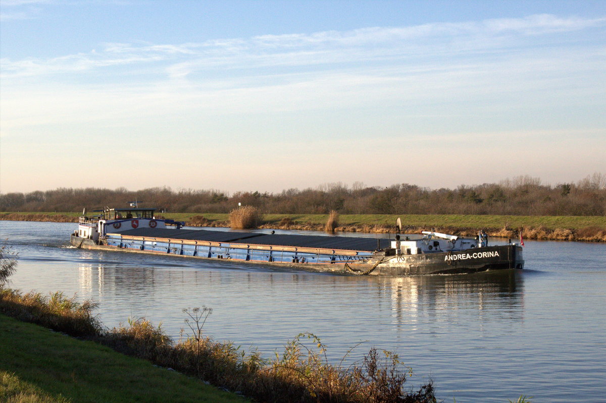 GMS Andrea-Corina (04200950 , 77,02 x 8,20m) am 05.12.2019 im Mittellandkanal Höhe km 319 / Barleber See 1 auf Bergfahrt.