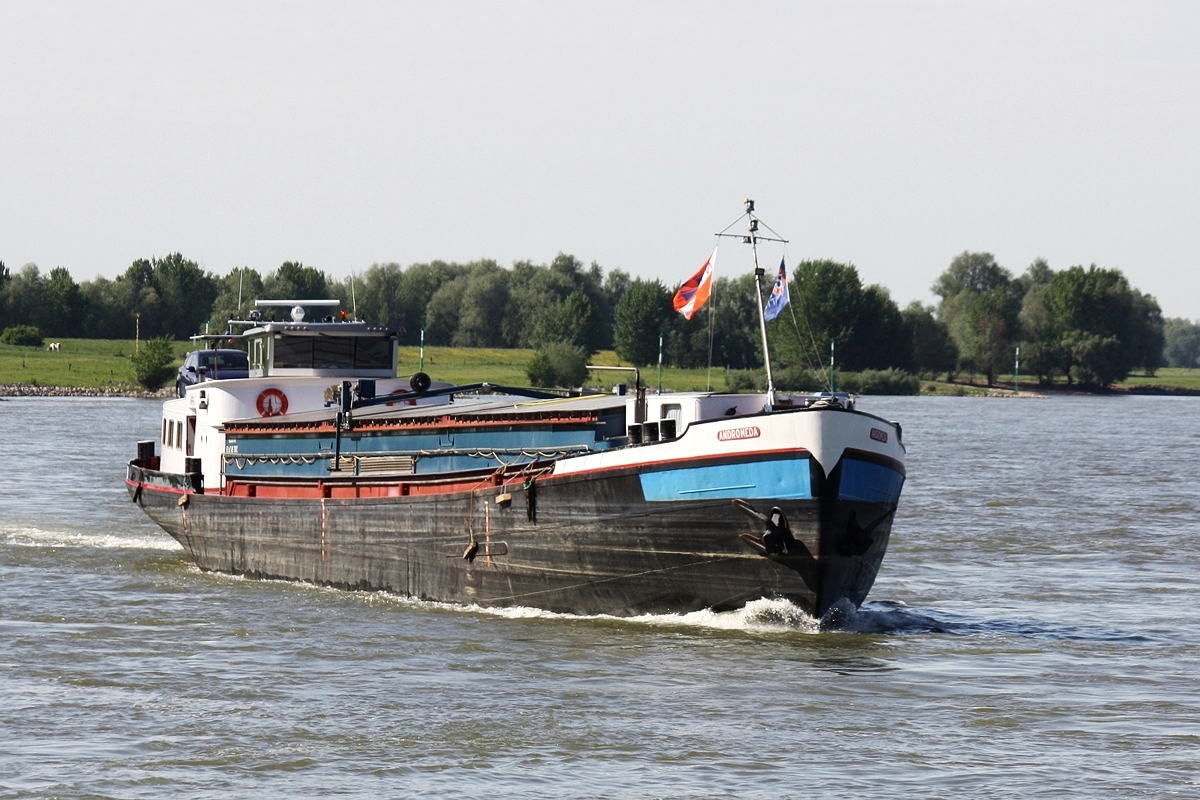 GMS Andromeda - 02205110 Baujahr 1949 am 15.05.2017 Rhein km 824 bei Xanten.