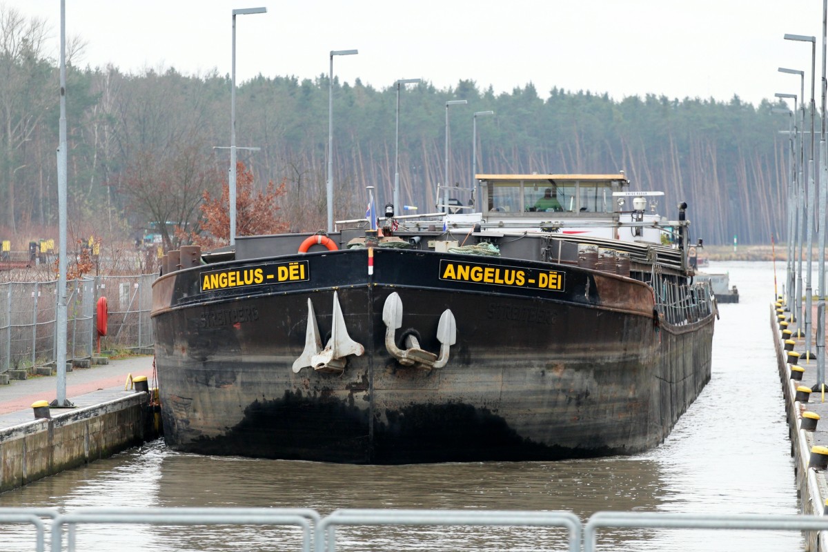 GMS Angelus-Dei (04003820 , 80 x 9,50m) fuhr am 25.11.2015 zur Talschleusung in die Schleuse Zerben (EHK) ein.