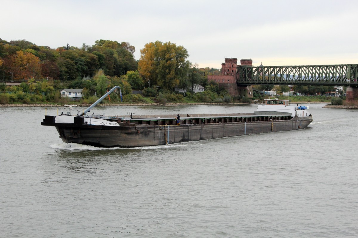 GMS Aqua Mundo (04604810 , 105 x 11m) am 20.10.2014 bei Mainz auf Rhein-Bergfahrt