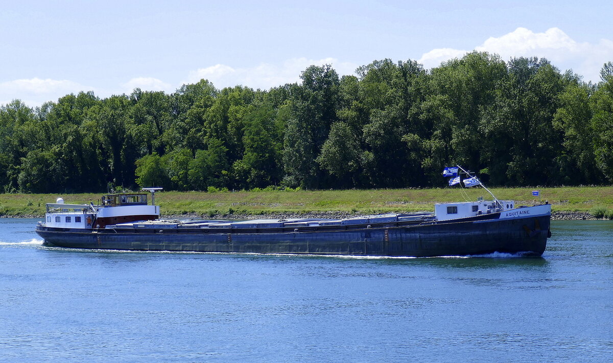 GMS Aquitaine, ENI 02319450, rheinabwärts vor der Staustufe Rhinau/Elsaß, Juli 2025