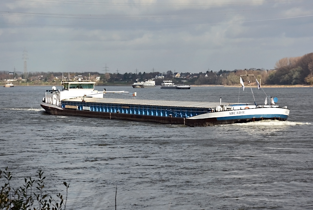 GMS  Arcadie  auf dem Rhein bei Widdig - 28.11.2015