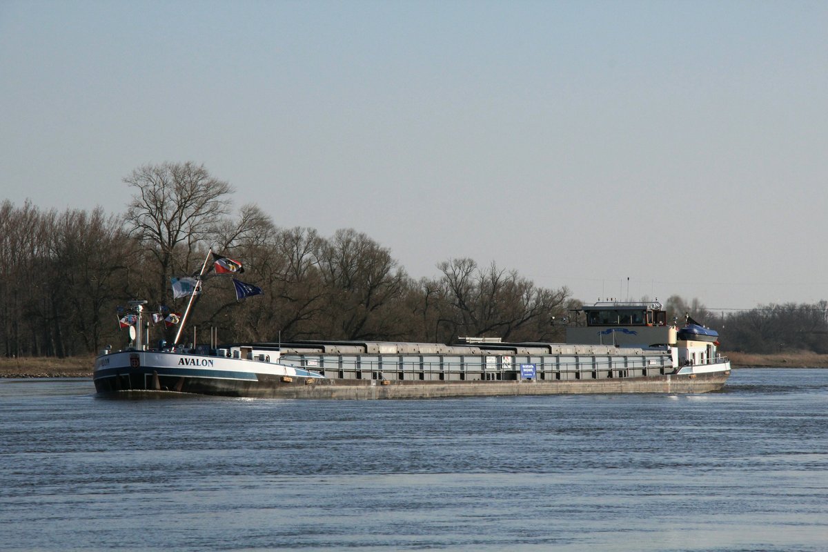 GMS Avalon (02315025 , 86 x 9m) am 25.03.2020 auf Elbe-Talfahrt bei Storkau am km 396.