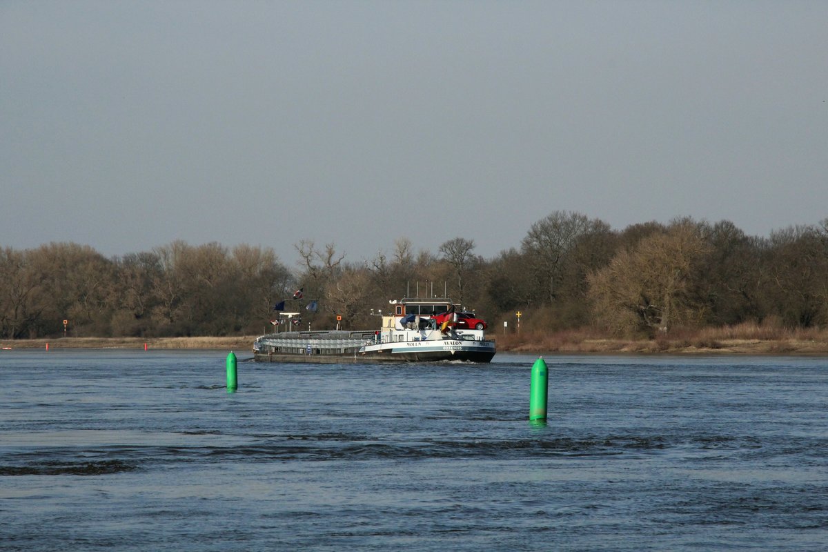 GMS Avalon (02315025 , 86 x 9m) am 25.03.2020 bei Storkau auf Elbe-Talfahrt.