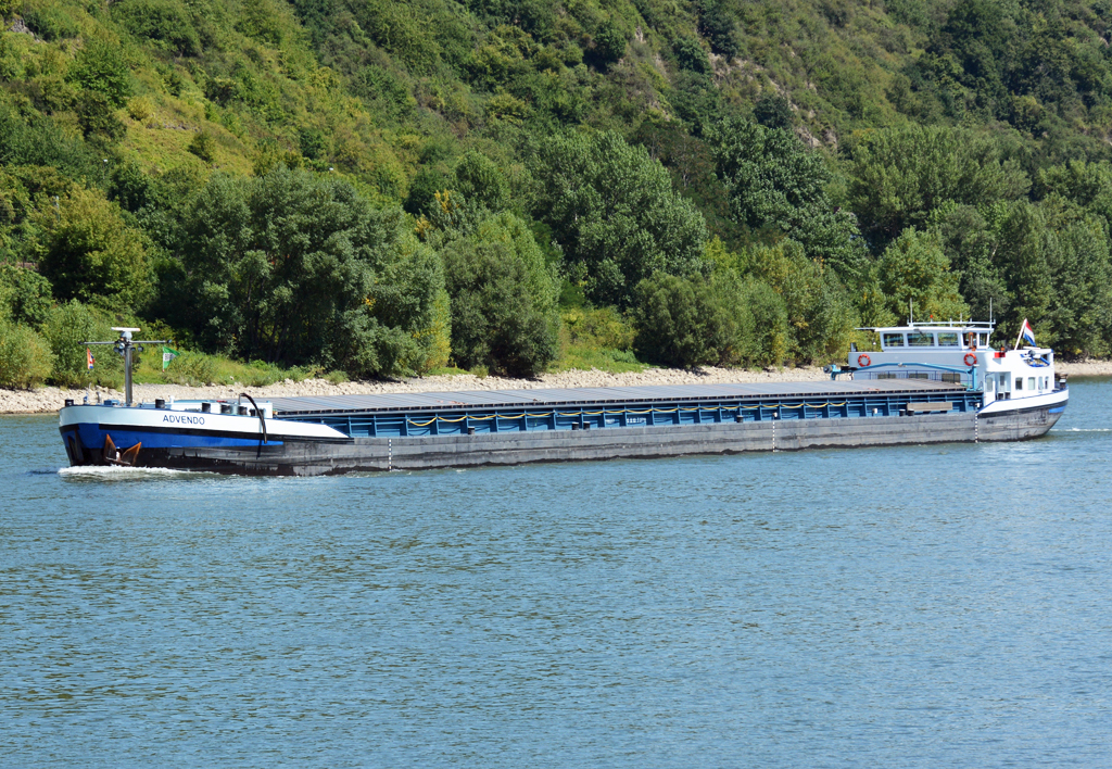 GMS Avendo auf dem Rhein zwischen Linz und Remagen - 05.08.2015