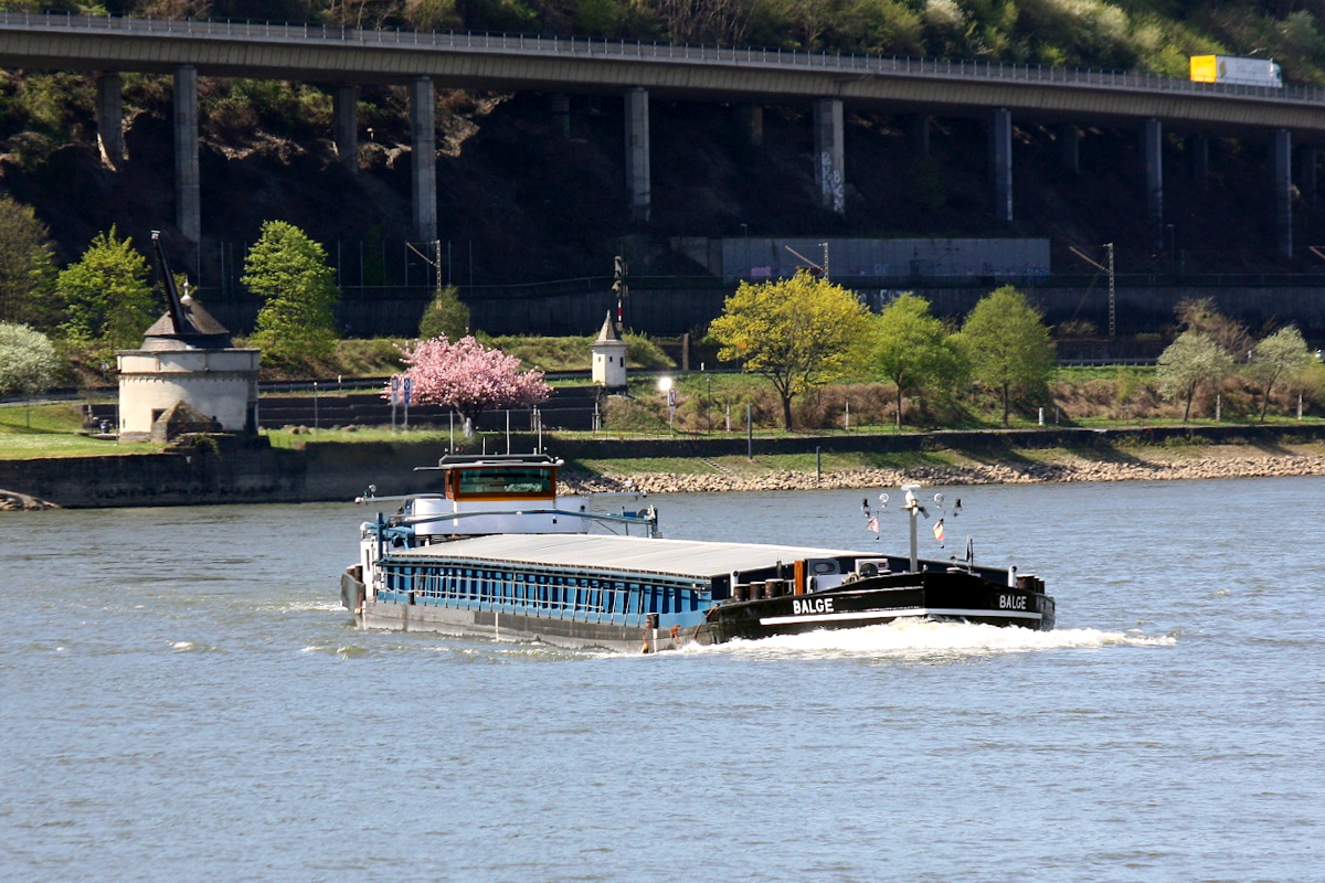 GMS BALGE (ENI:04004380) L.100 m B.9,50 m T.1822 Flagge Deutschland auf dem Rhein am 20.04. 2022 zu Berg in Andernach.