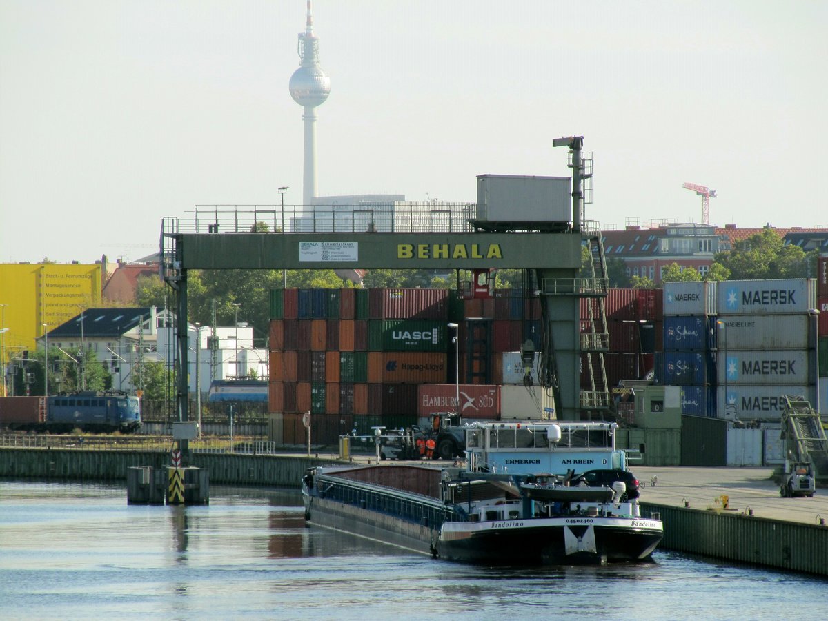 GMS  BANDOLINO  (04502460 , 110 x 10,50m) am 22.10.2020 im BERLINER WESTHAFEN , Becken 1.