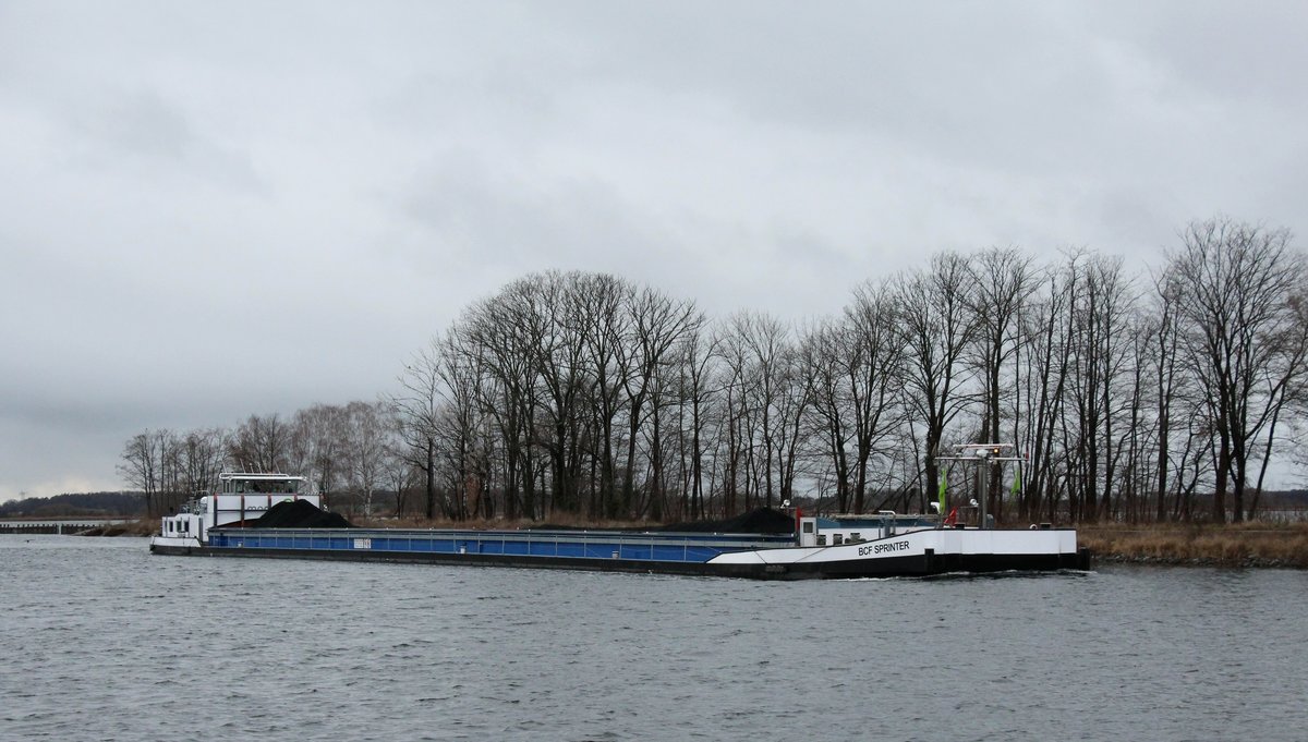 GMS  BCF SPRINTER  (02104800 , 99,71 x 9,5m) am 12.01.2021 im Sacrow-Paretzer-Kanal /  UNTERE HAVEL-WASSERSTRASSE  Höhe Fahrlander See / km 22 auf Bergfahrt nach Berlin.