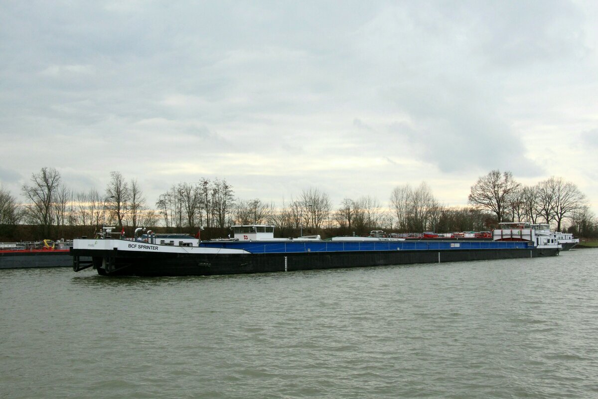 GMS  BCF SPRINTER  (02104800 , 99,71 x 9,5m) am 15.02.2022 im  MITTELLANDKANAL  km 236 vor der Schleuse Sülfeld mit Fahrtrichtung WOB.