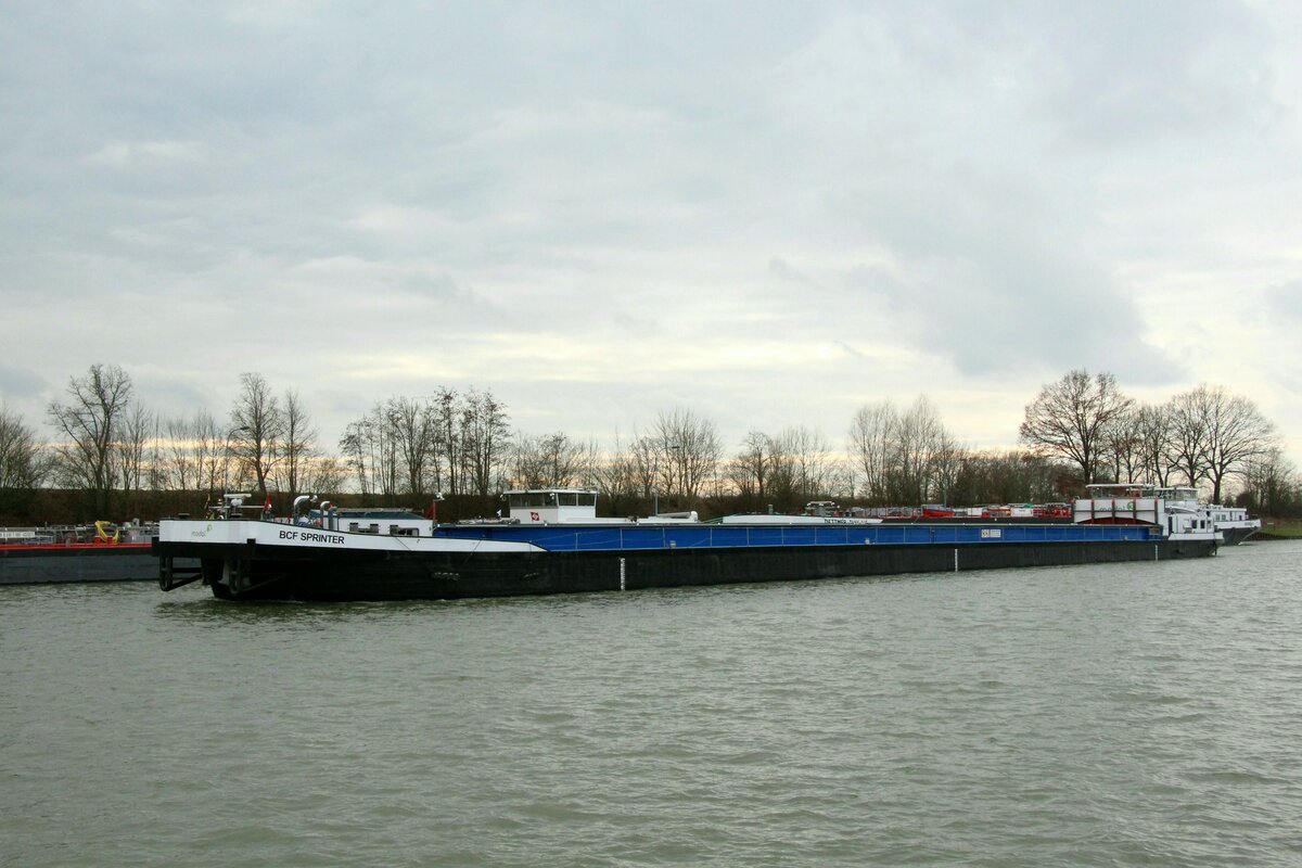 GMS  BCF SPRINTER  (02104800 , 99,71 x 9,5m) am 15.02.2022 im  MITTELLANDKANAL  km 236 vor der Schleuse Sülfeld mit Fahrtrichtung WOB.