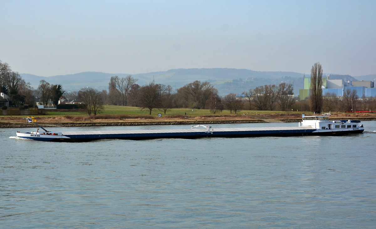 GMS  Belicha  auf dem Rhein in Neuwied - 14.02.2015